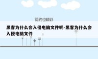 黑客为什么会入侵电脑文件呢-黑客为什么会入侵电脑文件