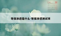 等保渗透是什么-等保渗透测试项