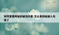 如何查看网站的被访问量-怎么看网站被人攻击了