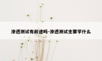 渗透测试有前途吗-渗透测试主要学什么