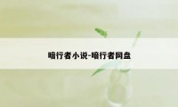 暗行者小说-暗行者网盘