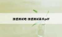 渗透测试吧-渗透测试高手pdf