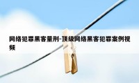 网络犯罪黑客量刑-顶级网络黑客犯罪案例视频