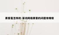 黑客是怎样的-采访网络黑客的问题有哪些