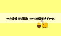 web渗透测试报告-web渗透测试学什么